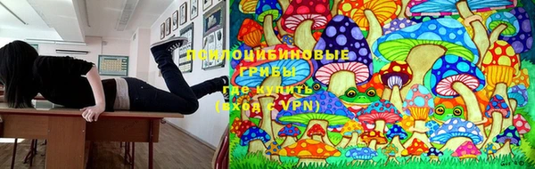 амфетамин Лабытнанги