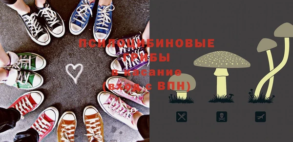 бошки Лагань
