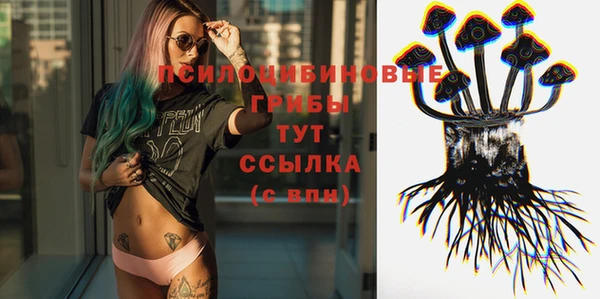 бошки Лагань